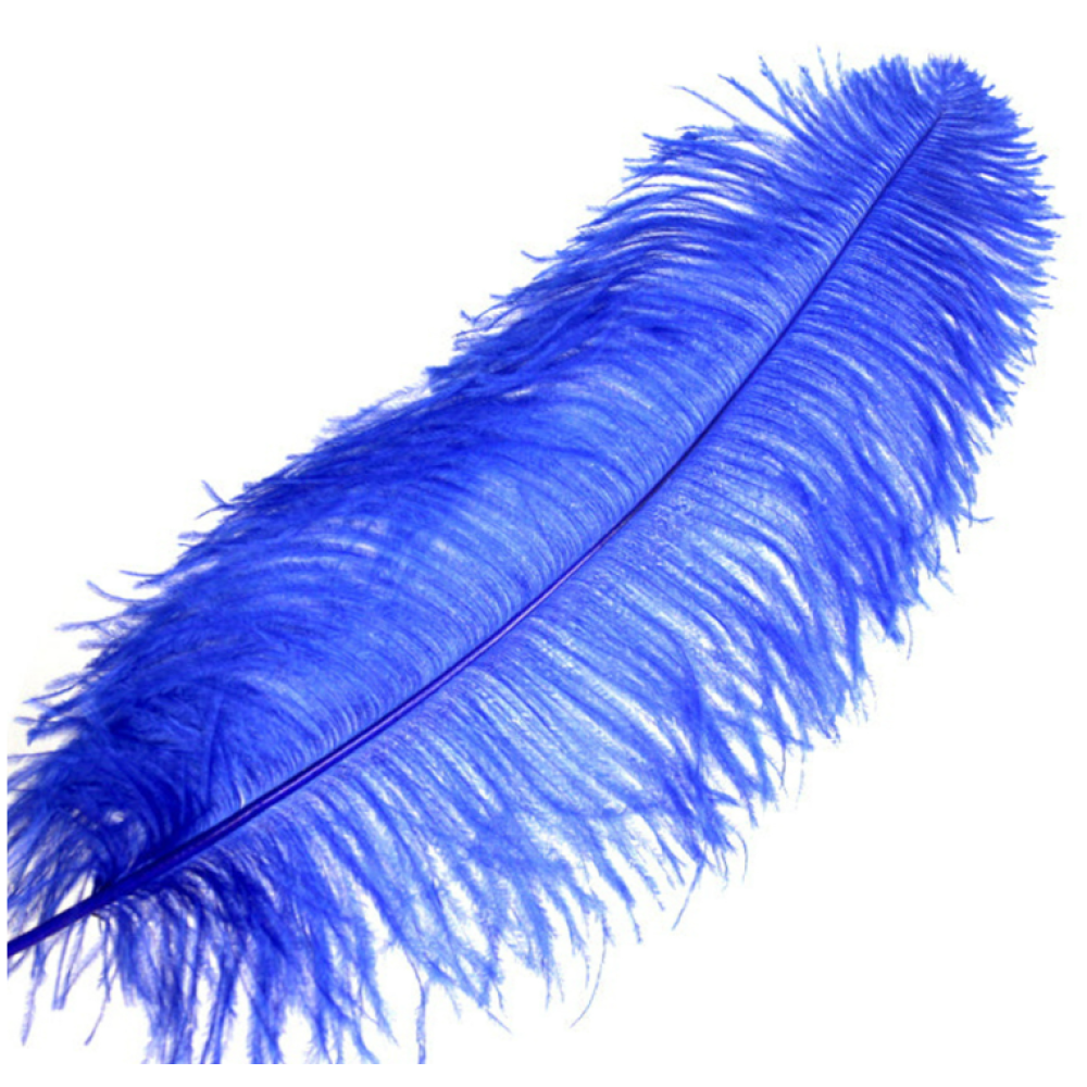 Blue Ostrich Feather | Flower Arrangements 35-40 CM